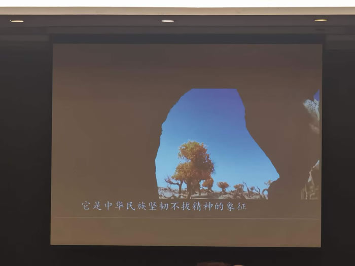 綿陽中旅行假日旅行社舉行胡楊林、南疆專列推薦會