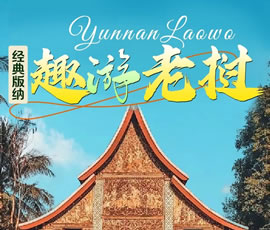 【趣游老撾 · 經(jīng)典版納】—昆明、普洱、西雙版納、磨丁、瑯勃拉邦四動(dòng)8日游